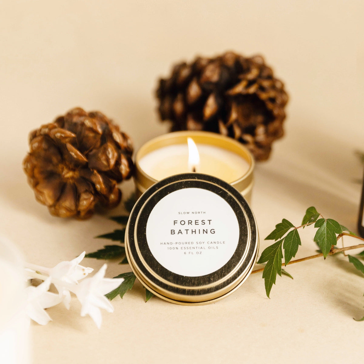 Candles & Home Fragrance